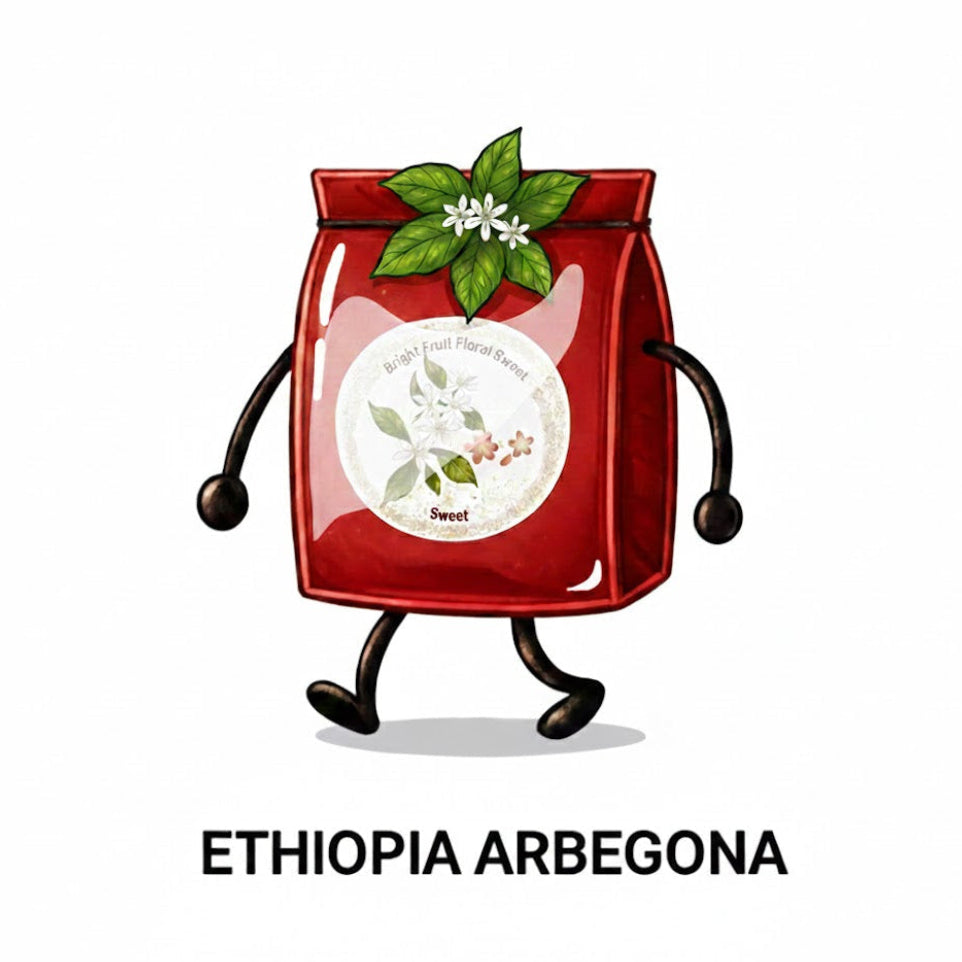 Ethiopia arbegona Cup ( Pour Over )